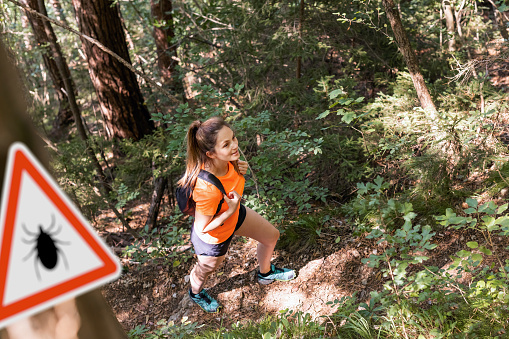 Woman hiking in Infected ticks forest with warning sign. Risk of tick-borne and lyme disease.