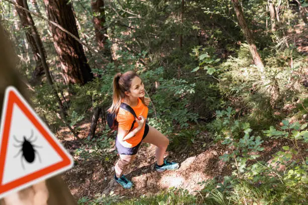 Photo of Woman hiking in Infected ticks forest