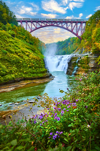 Image of Beautiful waterfall carving through mossy cliffs with purple field flowers and train crossing over red steel bridge above