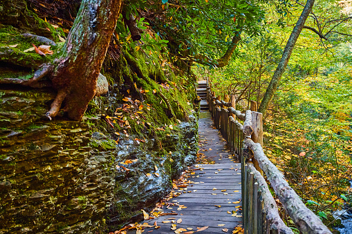 Image of Beautiful wood boardwalk along rocky cliffs lead away into peaceful mossy forest