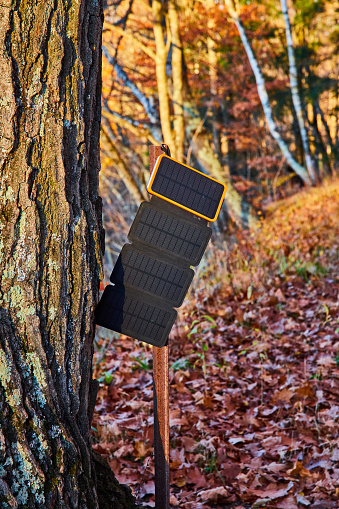 Image of Close up of portable charging solar panels for phone getting sunlight by tree in late fall with foliage