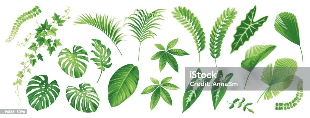 Decorazioni Per Feste Di Pensionamento Tropicali Hawaiane Luau 52