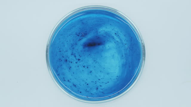Petri dish with blue liquid.