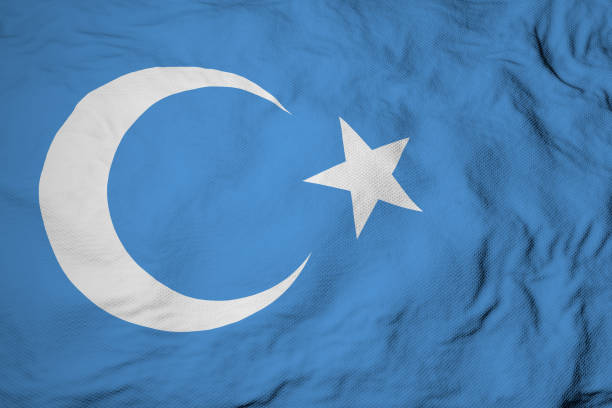 istock Flag of Uyghur in 3D rendering 1488652976