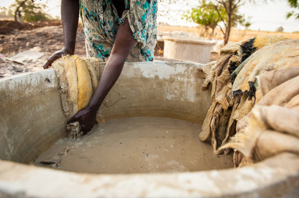 istock Tannery, leather production in Senegal, West Africa 1488657574
