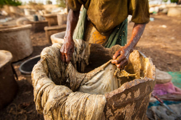 istock Tannery, leather production in Senegal, West Africa 1488657575