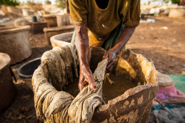 istock Tannery, leather production in Senegal, West Africa 1488657581