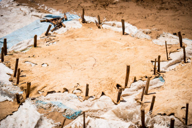 istock Tannery, leather production in Senegal, West Africa 1488657592