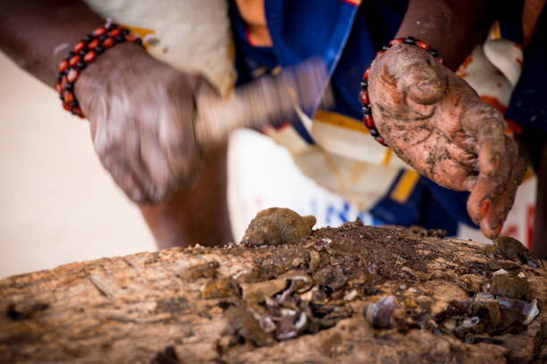 istock Seafood production in Senegal, West Africa 1488658077