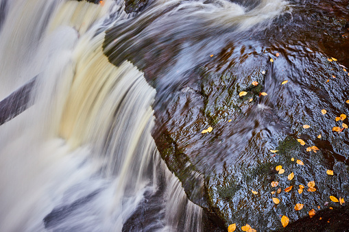 Image of Fall leaves on rocks by raging waterfall edge up close
