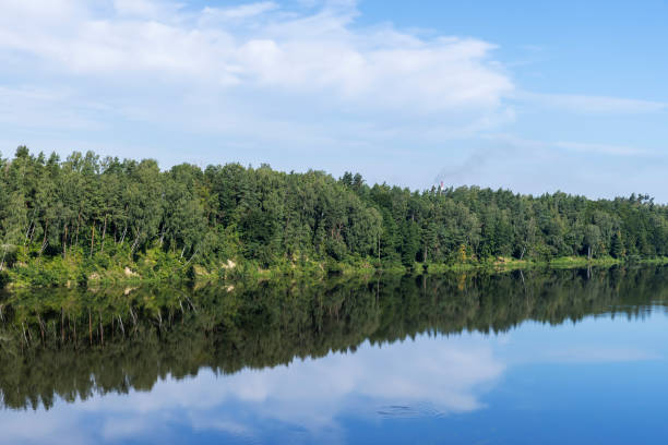 istock Wide river in summer in sunny weather 1488662957