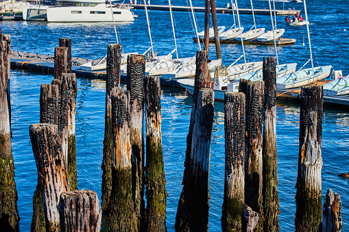 Image of Green moss covers old unused pilings with fire damage and docks with boats in background