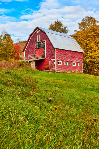 Large red vintage country barn in grassy fields with fall trees behind.jpg