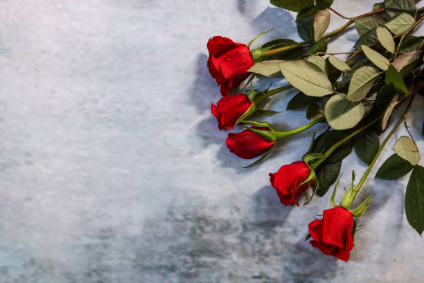 istock Bouquet of red roses isolated on a gray background with copy space. 1488664762