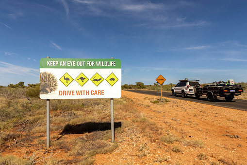 street sign keep an eye out for wildlife and drive with care showing images of an emu, kangaroo, iguana and echidna besides an asphalt road in Australia and a car with trailer