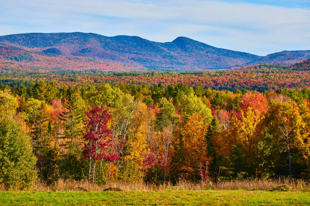 istock New York peak fall landscape in mountains with forest edge in front.jpg 1488666091