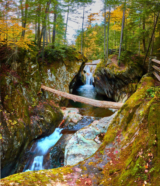 istock Panoramic view eye level to waterfall raging through narrow mossy gorge in fall Vermont forest.jpg 1488666321