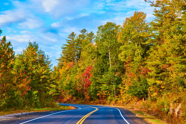 istock Road winding through fall forests with blue skies.jpg 1488666748