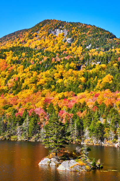 istock Small island with lone pine tree on New Hampshire Lake surrounded by peak fall foliage mountains.jpg 1488667513
