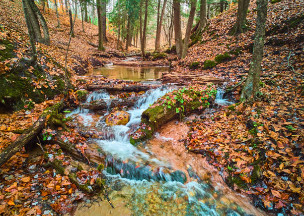 Small river creek with cascading waterfalls in beautiful fall forest covered in orange leaves.jpg