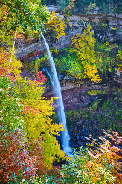 istock Stunning tall waterfall over cliffs is surrounded by colorful peak fall foliage.jpg 1488667952
