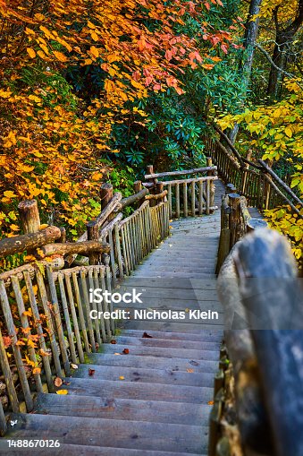 istock Wood boardwalk stairs leading down through peak fall foliage forest.jpg 1488670126