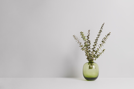 Green vase with eucalyptus branches on empty light grey background. Round glass vase with dried natural plant mockup. Front view, copy space for text. Minimal composition.