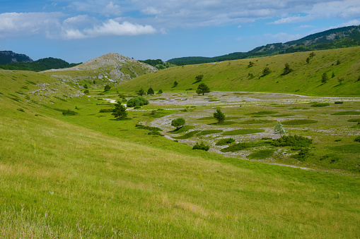 Sunny pastoral valley in springtime with mountains in background