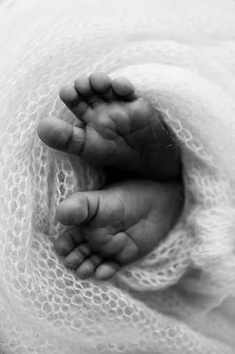 The tiny foot of a newborn baby. Soft feet of a new born in a wool blanket. Close up of toes, heels and feet of a newborn. Knitted heart in the legs of baby. Macro photography. Black and white