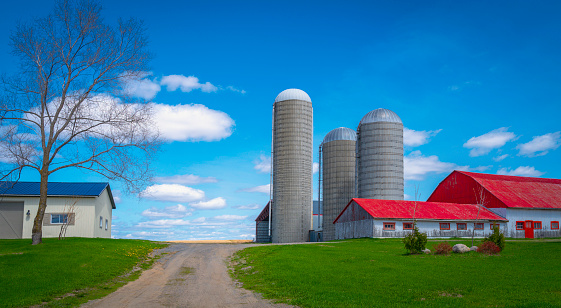 Tranquil countryside landscape with white clouds, tall silos, rustic red rooftop houses, and a white barn over the green hill with a curving dirt road, rural road in Quebec, Canada along the St Lawrence River