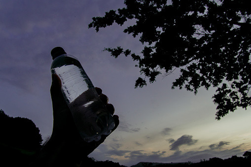 plastic water bottle in nature