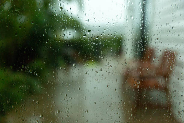 istock Rainy day. Windowpane covered in raindrops, with a view of a backyard garden visible behind it. 1488688034