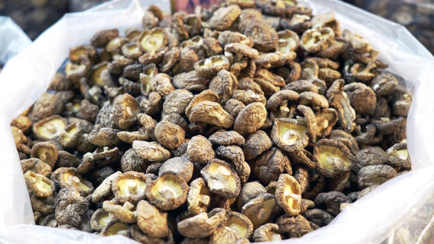 mucchio di funghi shiitake secchi in un grande sacchetto, vendendo nel mercato tradizionale. - shiitake mushroom mushroom dried food dried plant foto e immagini stock