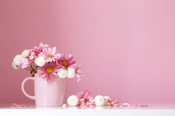istock white and pink  chrysanthemums in pink cup on pink  background 1488700696