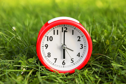 Alarm Clock On The Lawn