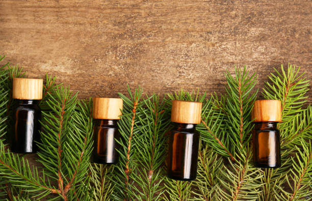 istock Bottles of pine essential oil and conifer tree branches on wooden table, flat lay. Space for text 1488702182