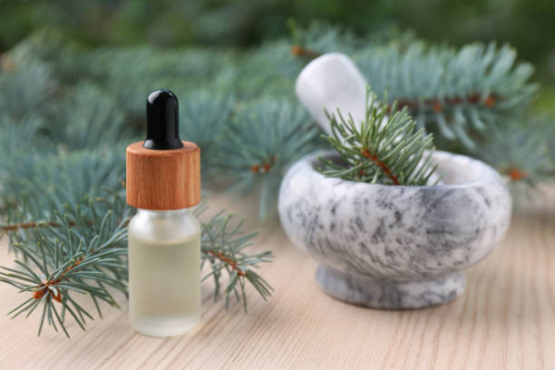 istock Pine essential oil and branches on white wooden table, closeup 1488702215