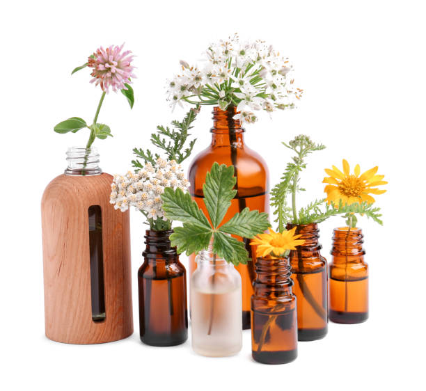istock Many bottles of essential oils and different wildflowers on white background 1488702293