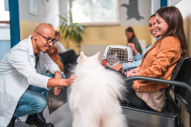 istock Cheerful Young Multiracial People At The Veterinary 1488702661