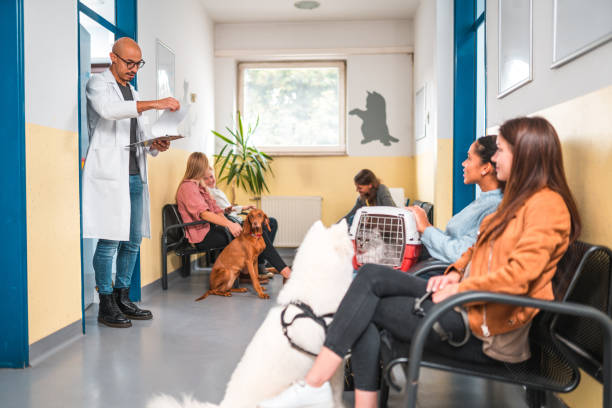 istock Multiracial People In A Veterinary 1488702662