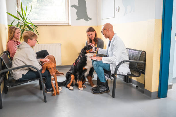istock Cheerful Mixed Race People At The Veterinary 1488702688