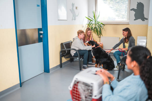 istock Multicultural People Waiting For The Vet 1488702691