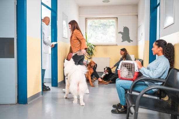 istock Multi-Ethnic People With Animales Waiting At The Veterinary 1488702693