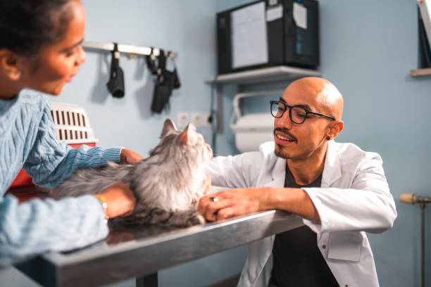 istock Smiling Hispanic People At The Veterinarian 1488702728
