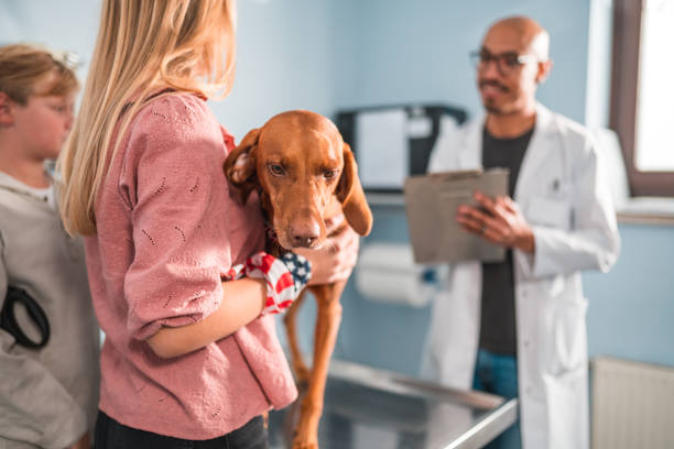 istock Young Dog Visiting The Veterinarian 1488702738