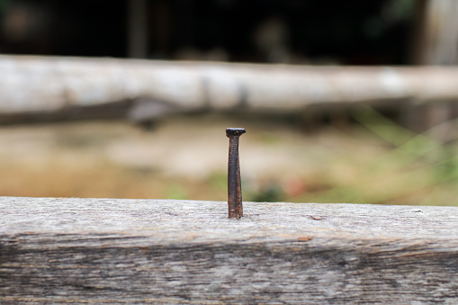 Rustic nail on wooden plank. Hardware industry closeup object. Background and texture. Nails decoration, vintage rustic