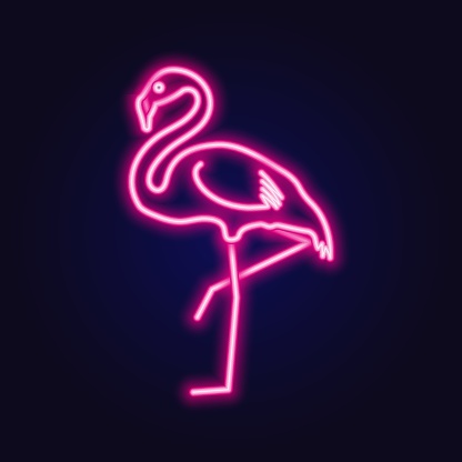 Pink flamingo. Neon. Vector illustration on a transparent background. Vector illustration
