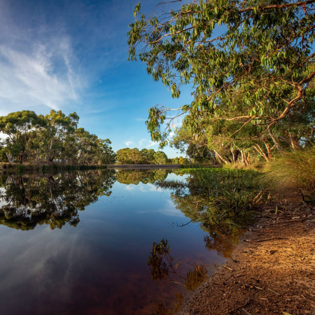 Early morning reflections in the lake at the Dunkeld Arboretum in Victoria’s west at the Grampians
