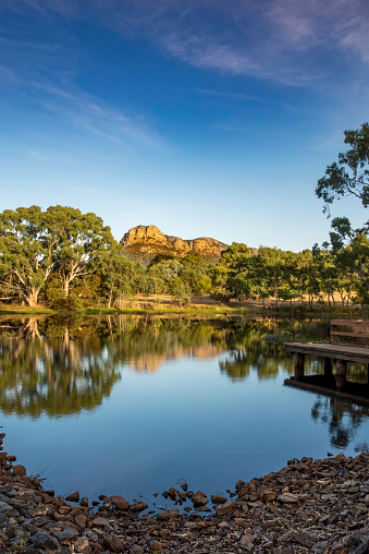 Early morning reflections in the lake at the Dunkeld Arboretum in Victoria’s west at the Grampians