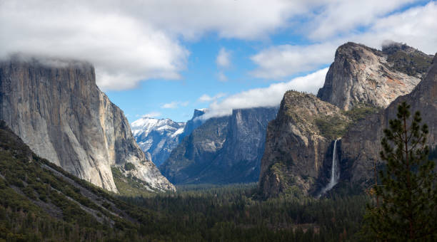 istock Yosemite National Park 1488721242
